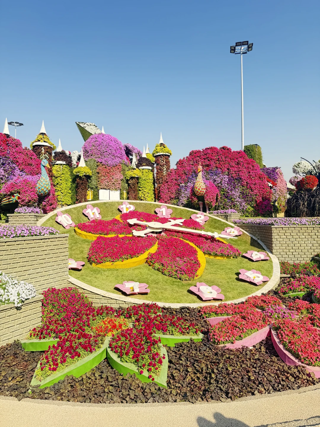 Отличная экскурсия с Тимуром: очень эрудированный и прекрасно образованный гид. Подарил нам незабываемый день в Дубаи