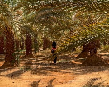 Тайны древней Хегры и традиции пустыни