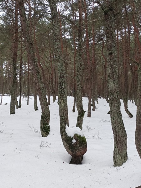 Мне понравилось) Это экскурсия в мини-группе и так как сейчас не сезон получилось, что я была