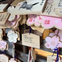 Фото отзыва 3: экскурсия "Ваш первый маршрут по Токио: адаптация за 8 часов"