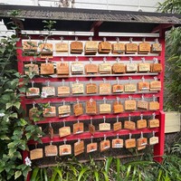 reviews img