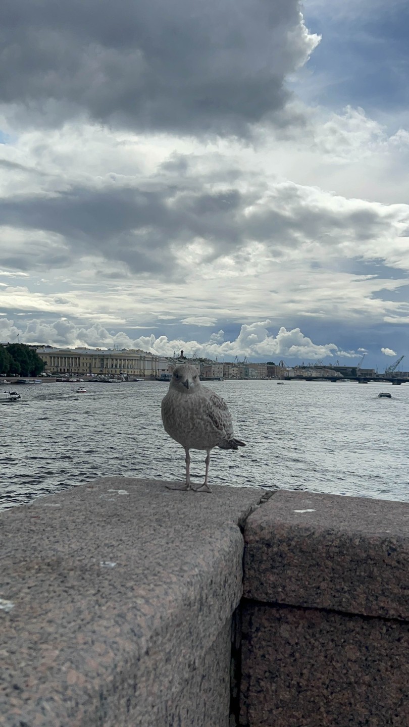 Иммерсивная прогулка по центру Петербурга (Александра)
