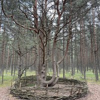 Фото отзыва 2: экскурсия "Из аэропорта Калининграда — на Куршскую косу"