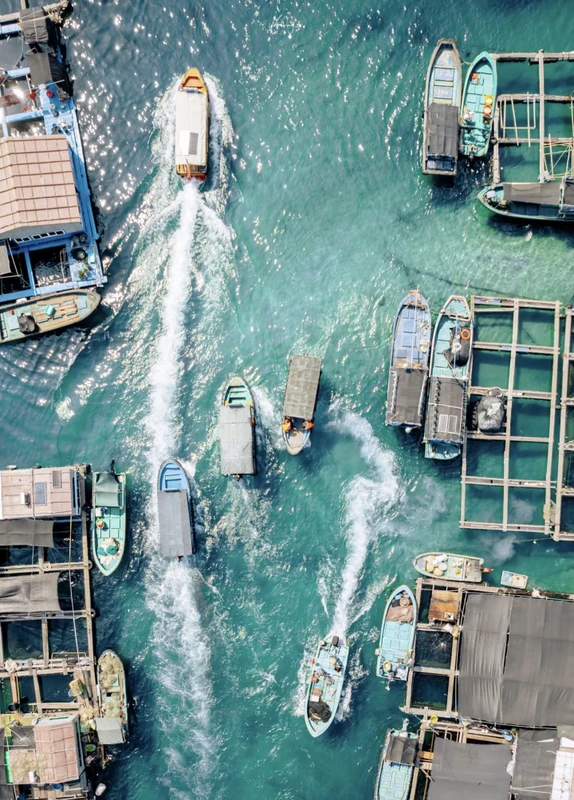 Восточное побережье Саньи: плавучие деревни, пляжи и шопинг в CDF