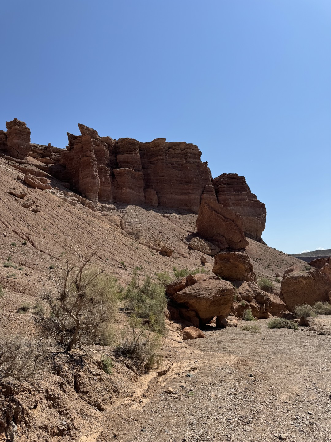 Чарынский каньон, Долина замков, озёра Кольсай и Каинды - из Алматы (Алеся)