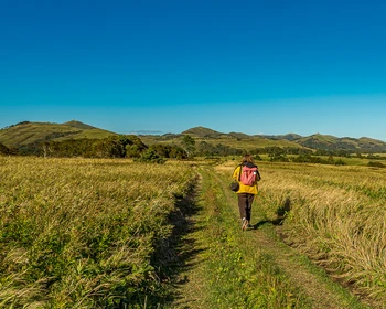 Бухта Дмитрова, свободное время и активность на выбор