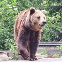 Фото отзыва 1: экскурсия "Семейная прогулка по Калининграду"