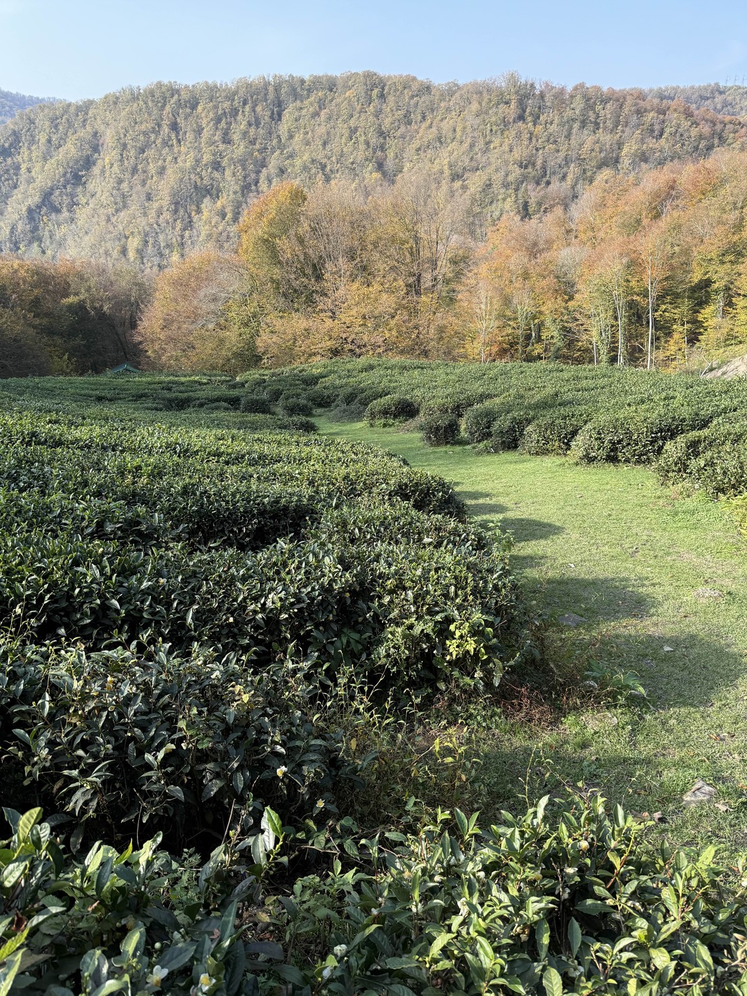 Отличная экскурсия, гид- супер!