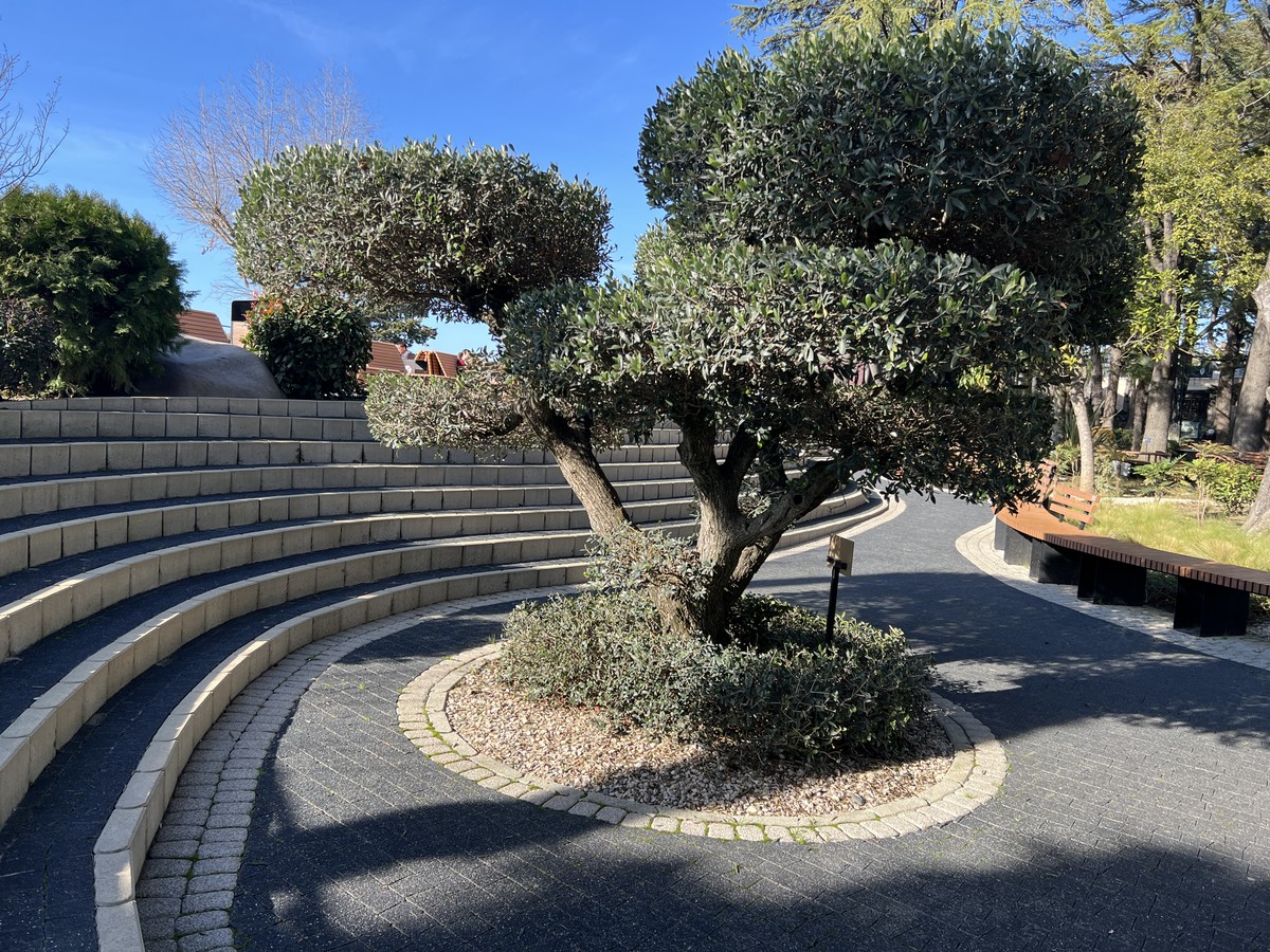 Сочи: начало. Исторические приключения южного города (17/23)