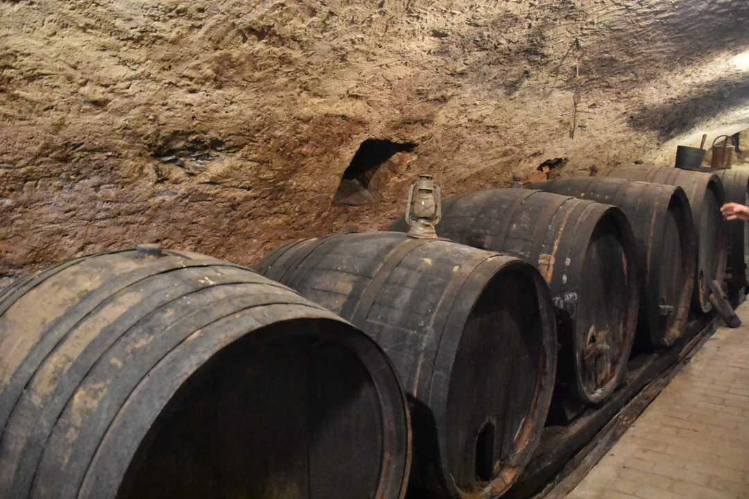 Конечно, путешествовать лучше весной. Но в этом году нам повезло увидеть нетипичную зимнюю Сербию, заваленную снегом