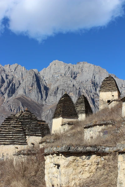 Отличный гид и потрясающие виды, точно можем рекомендовать