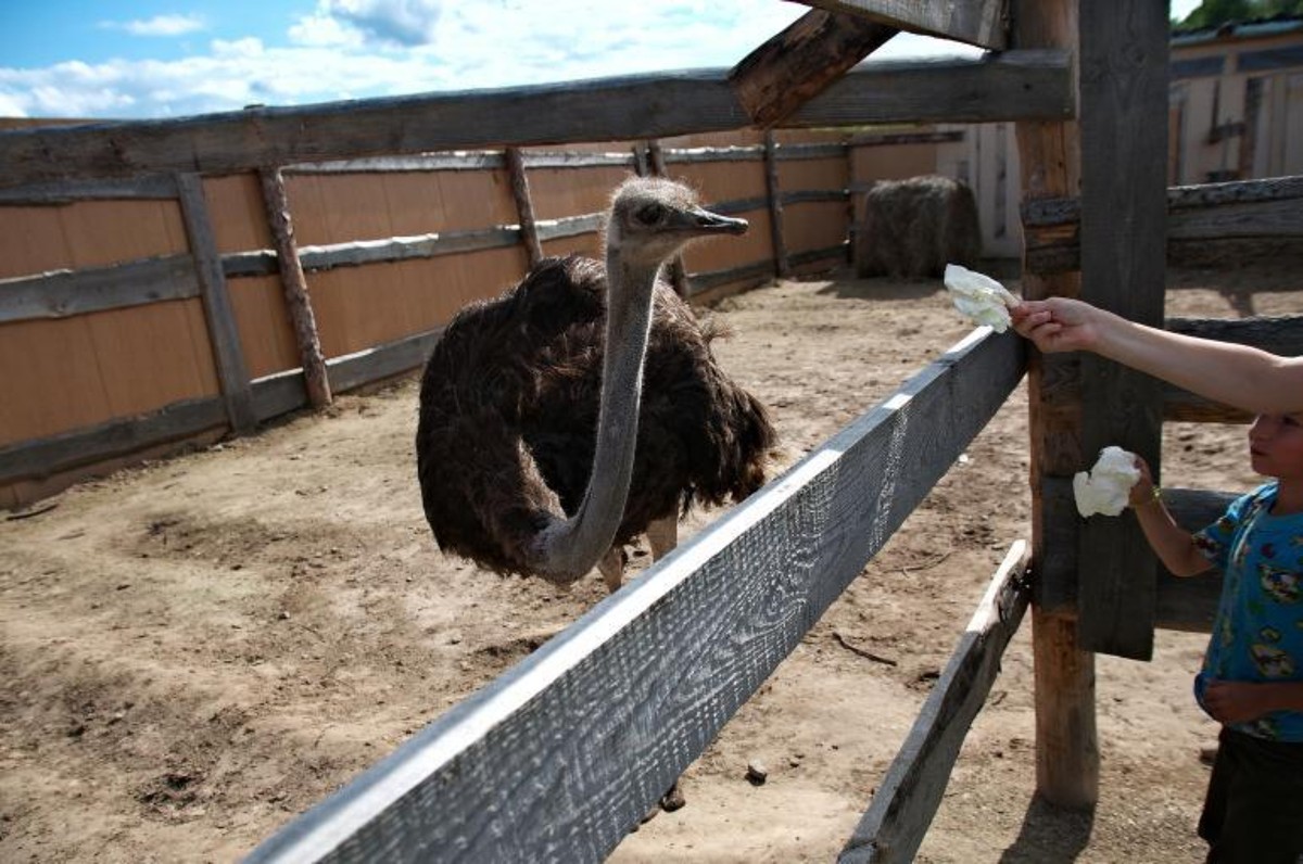Летний Стамбул — пёстрые пески Чёрного моря (4/7)