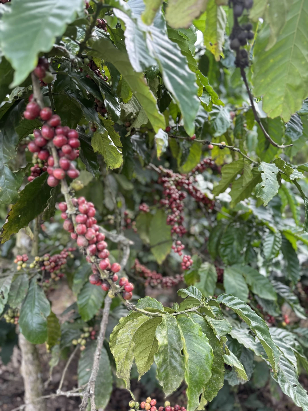 Экскурсия нам очень понравилась. Михаил, как только приехал за нами в отель, расположил к себе абсолютно