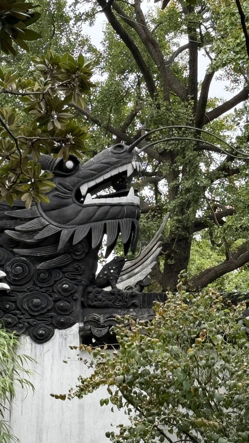 Для первого знакомства с Шанхаем прогулка получилась замечательная. Посетили основные локации. Передвижения были и на такси