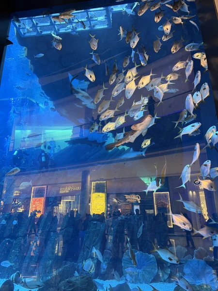 Нашим гидом был Али. Очень-очень все понравилось!! 🙏🏼🩵