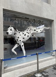 Фото отзыва 1: экскурсия "Шанхай: модные локации финансовой столицы Китая"