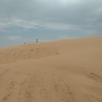reviews img