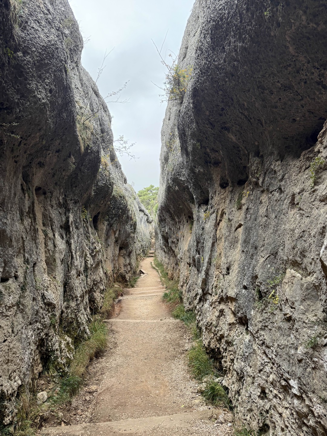 Красота невероятная!