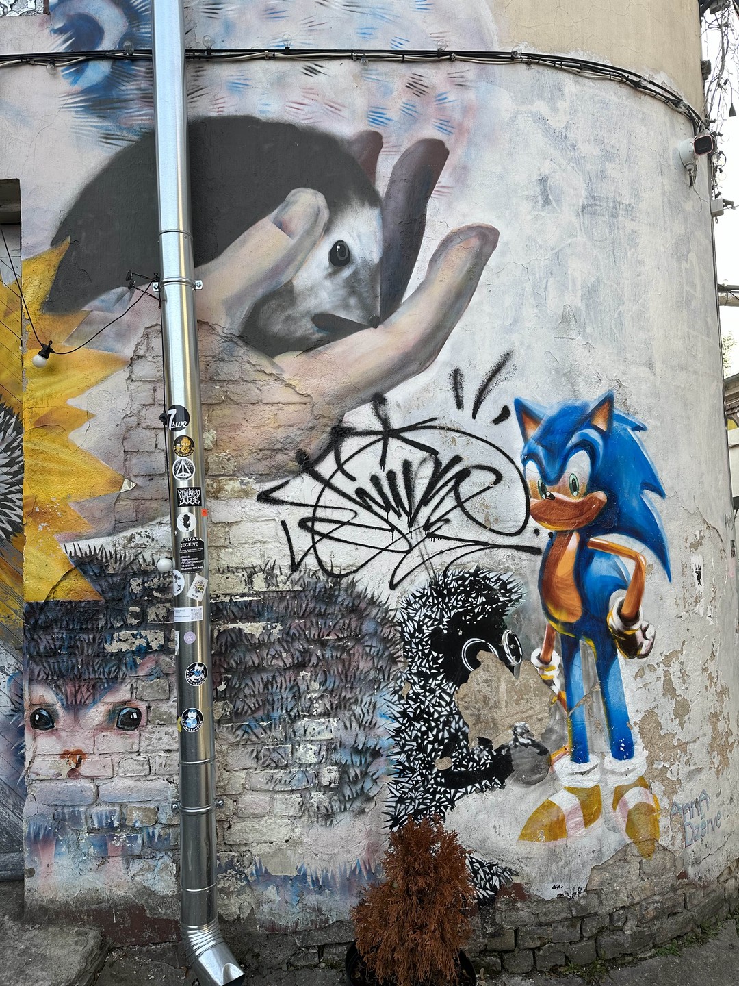 Виктория, спасибо за красоту 😍🤗 очень душевная экскурсия))) как будто встретилась со старой знакомой)) улица Миера,