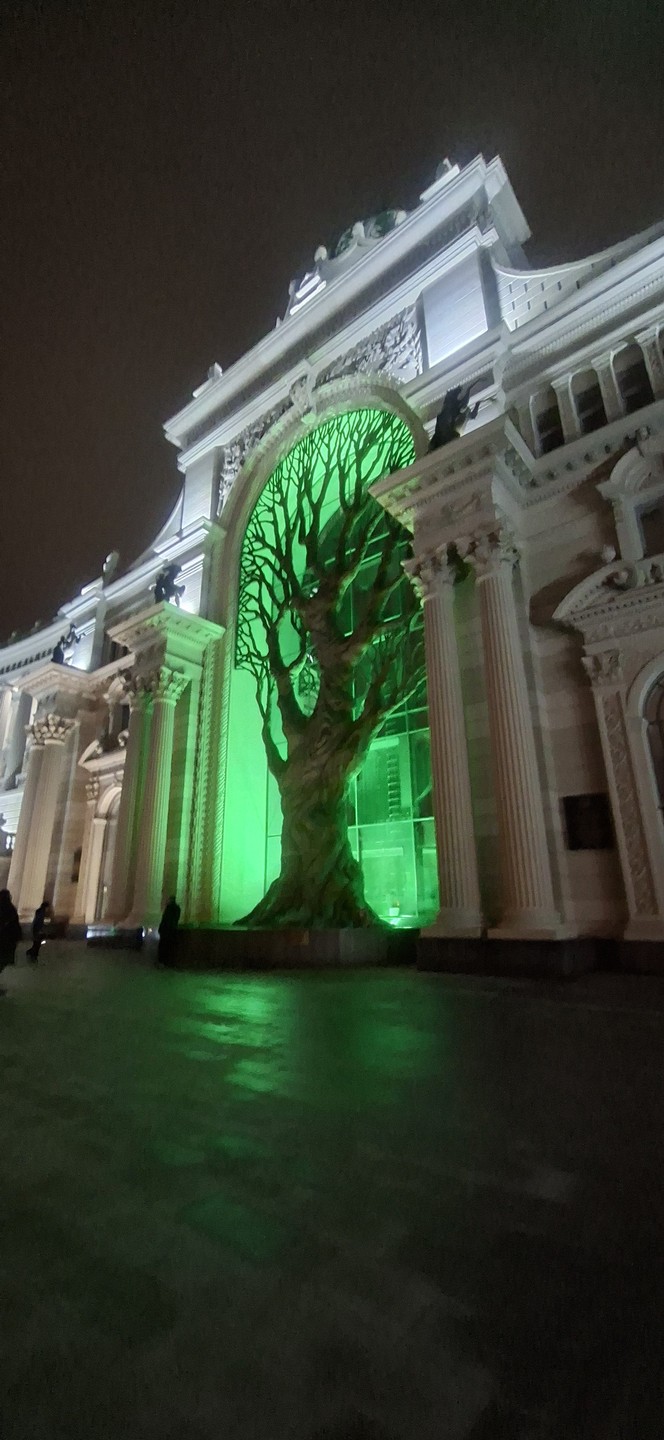 Ночная Казань и катание на колесе обозрения «Вокруг света» (Екатерина)