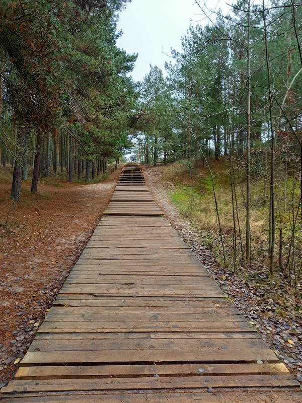 Увлекательные выходные: Калининград и курортные городки с местным гидом