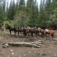 Отзыв о экскурсии "Сказочные озёра Каинды и Кольсай + Долина Замков Чарынского каньона и Чёрный каньон в группе" — фото 3