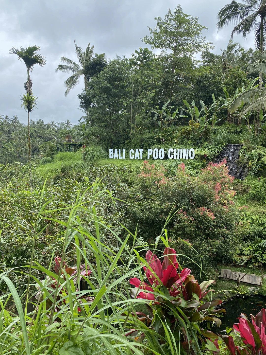 Бали, который вы ждёте (Алина)