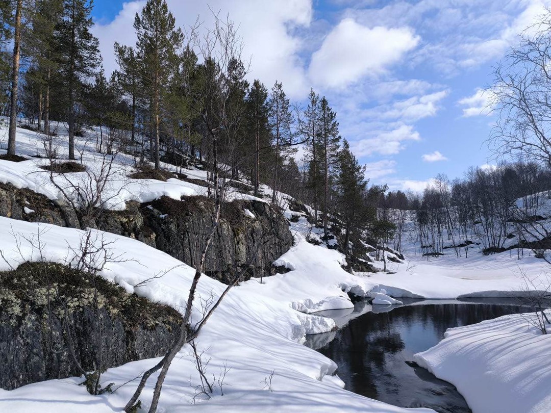 Кольский фьорд и великолепие водопадов (Анна)