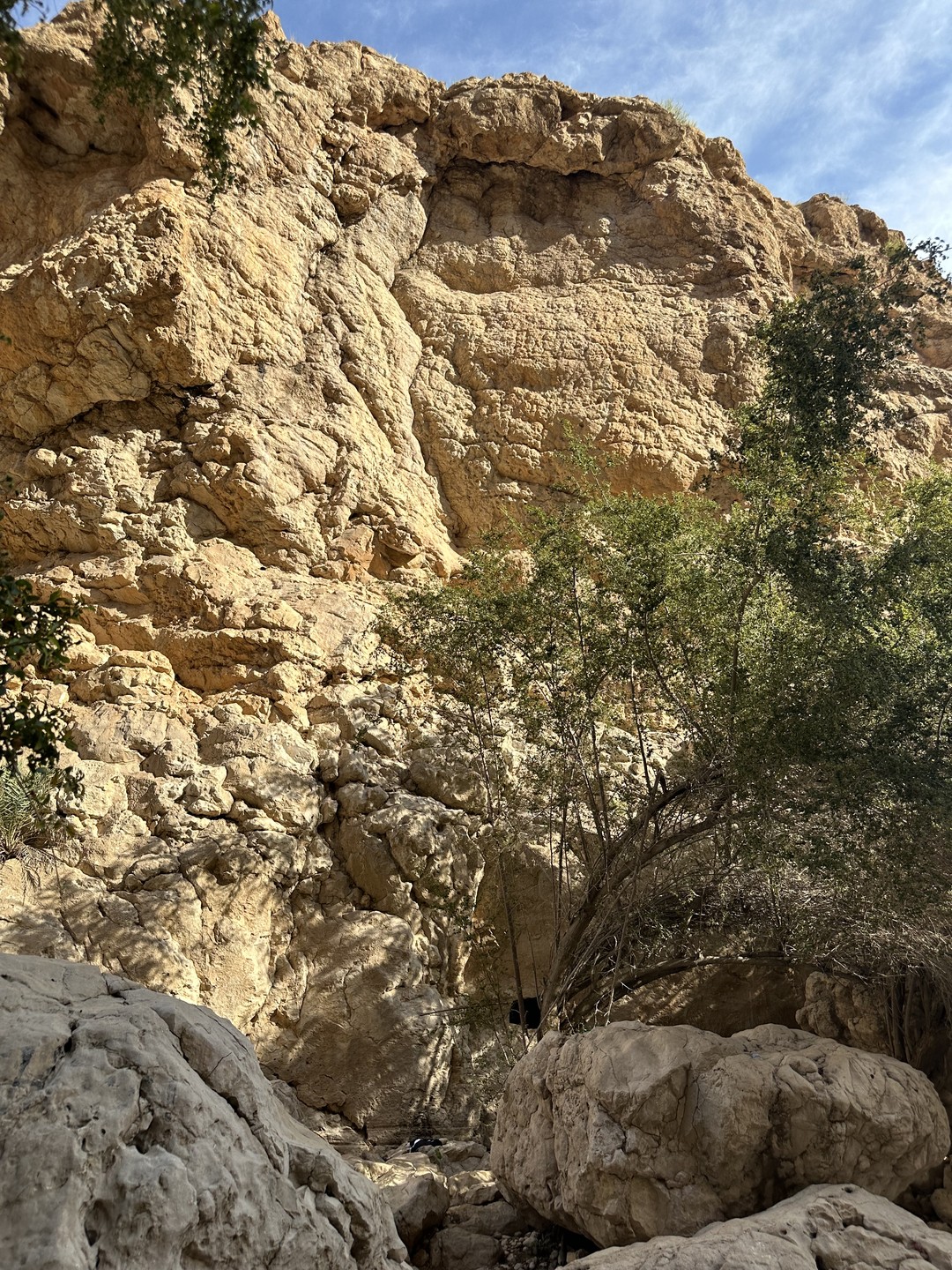 Пустыня Вахиба и оазис Вади Бани Халид (Марина)