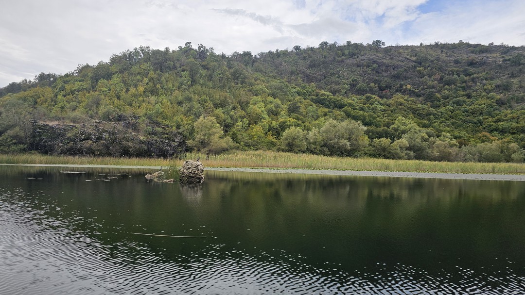 Понравилось! Великолепный, професиональный гид Олга. Спасибо