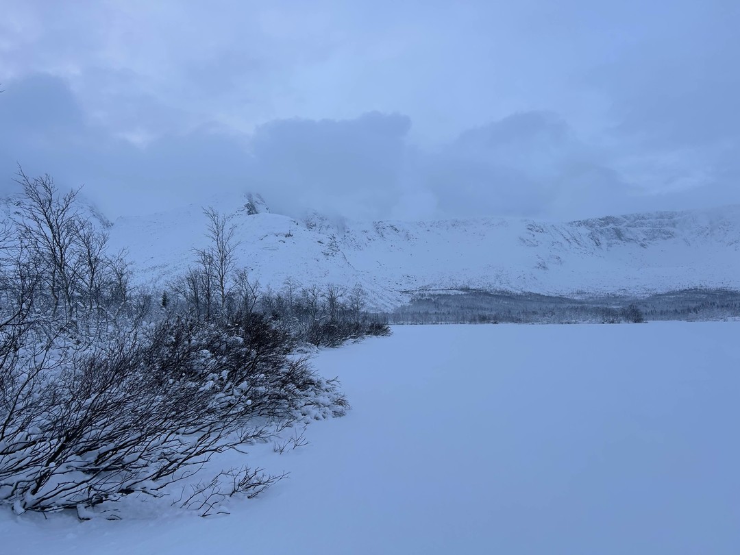 Были на экскурсии 25.11