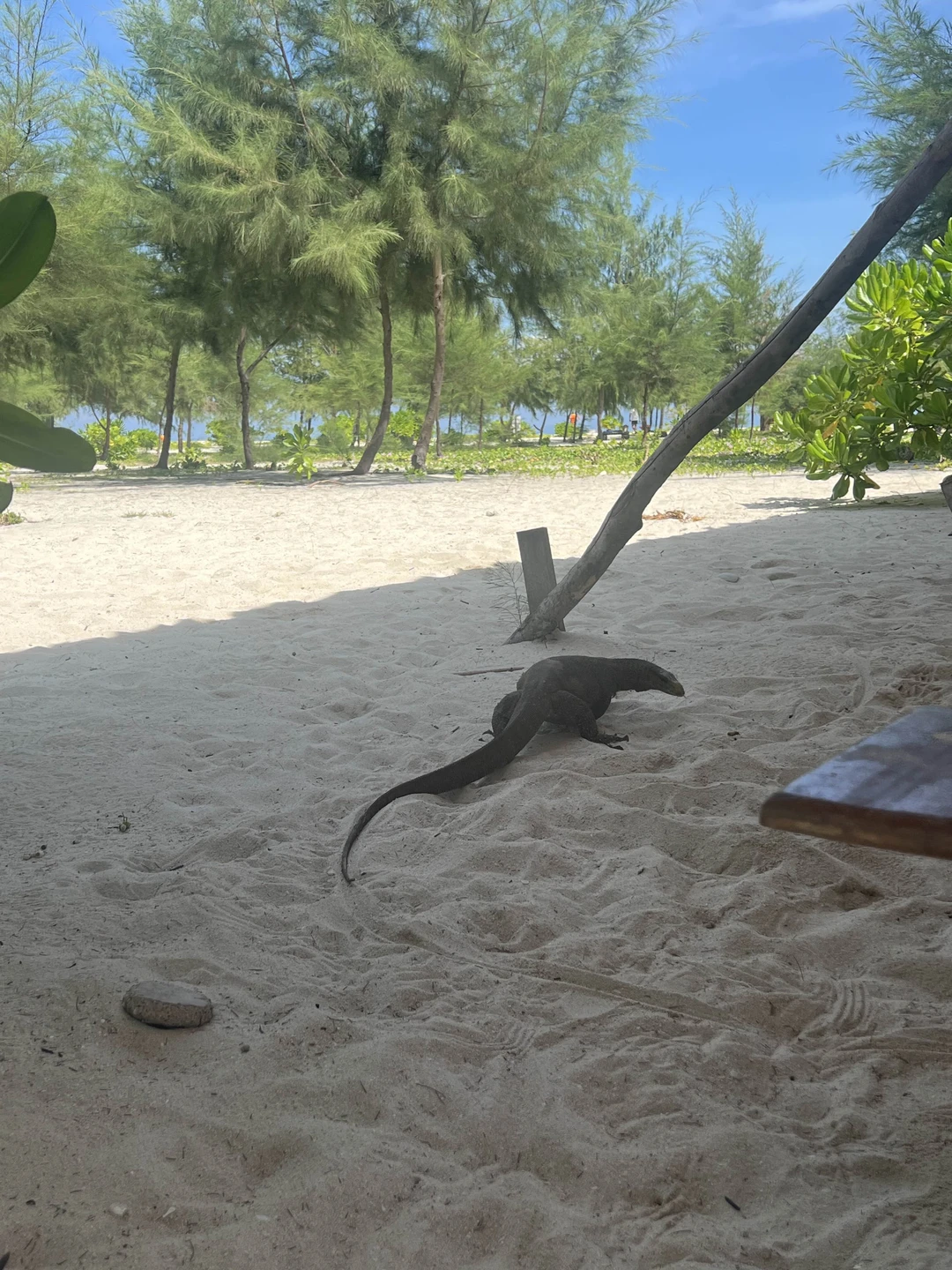 Экскурсия в формате «голопом по Европам», много спешки и суеты, по факту на каждой локации находились