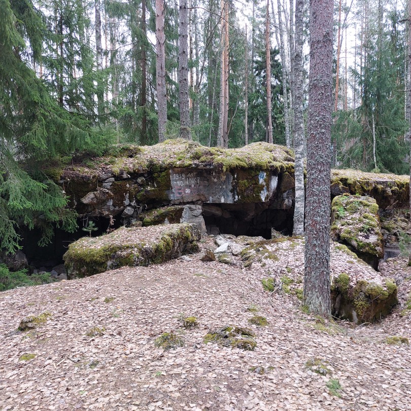 Отличная прогулка с Михаилом его очаровательной помощницей (таксой Милой)