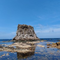 Фото отзыва 1: экскурсия "Мыс Великан и мыс Птичий: путешествие в мини-группе"