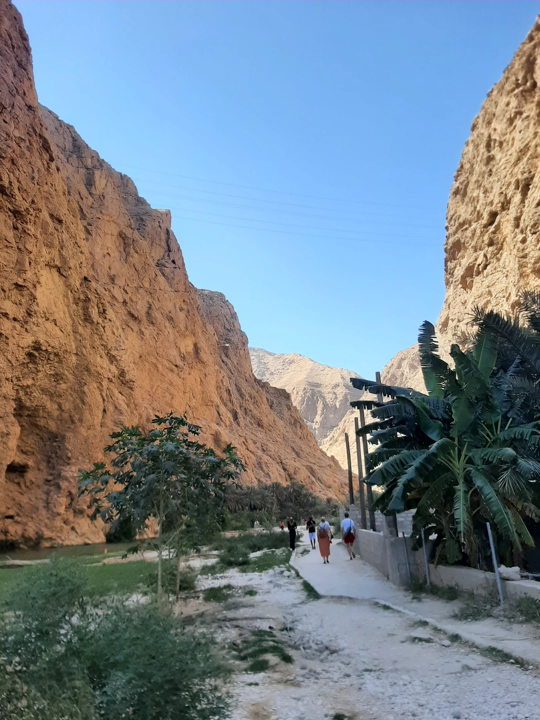 16 ноября 2025 года мы заказали индивидуальную экскурсию "Самый лучший день в Омане" с посещением Wadi