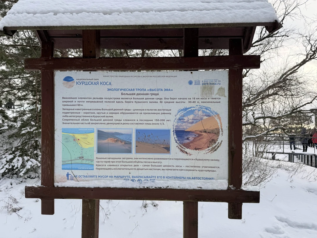 Огромная благодарность Александре за такой чудесный, интересный и насыщенный день 👍