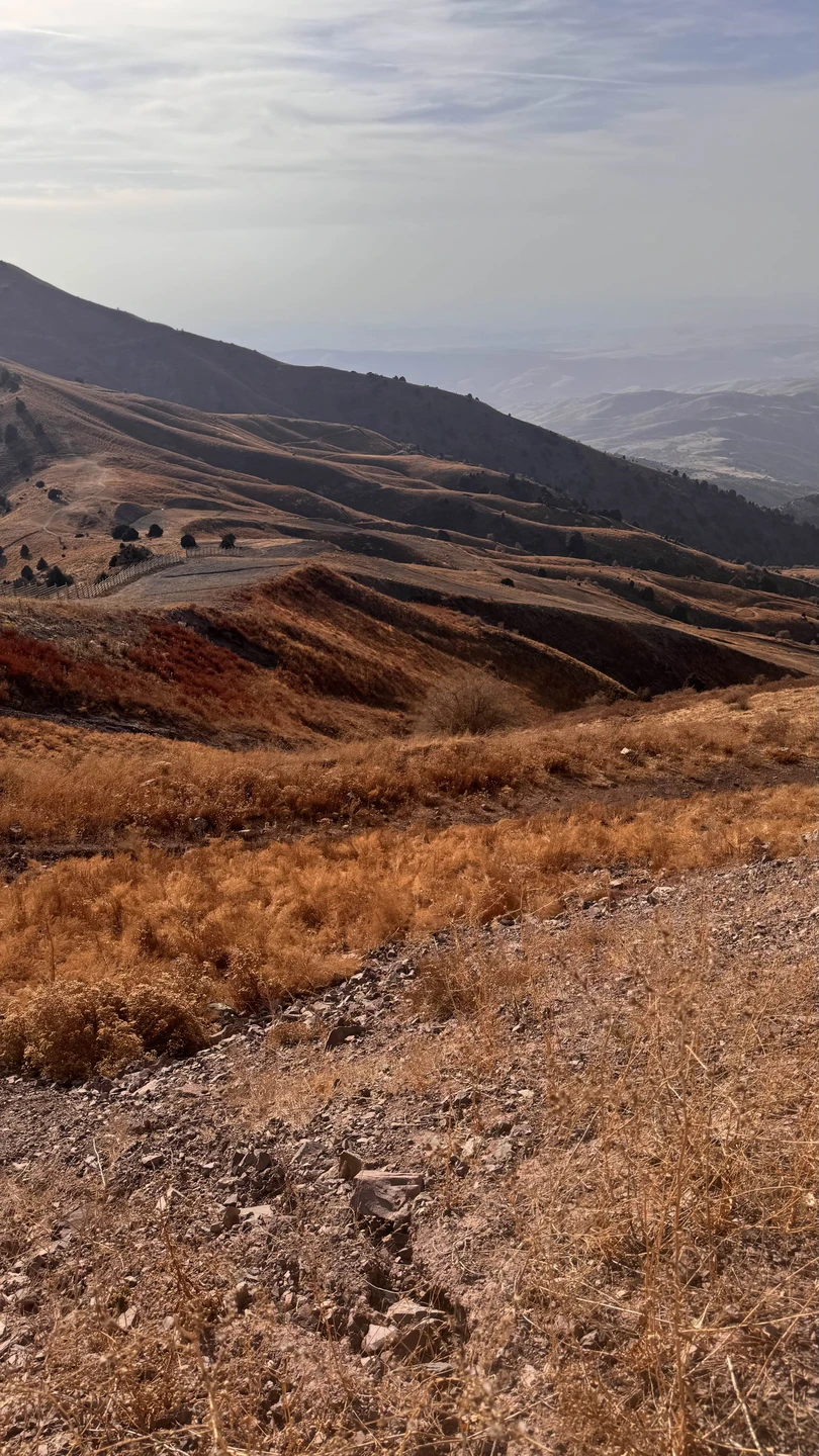 От науки к вершинам: поездка в Институт Солнца и горы Чимган (Анджела)