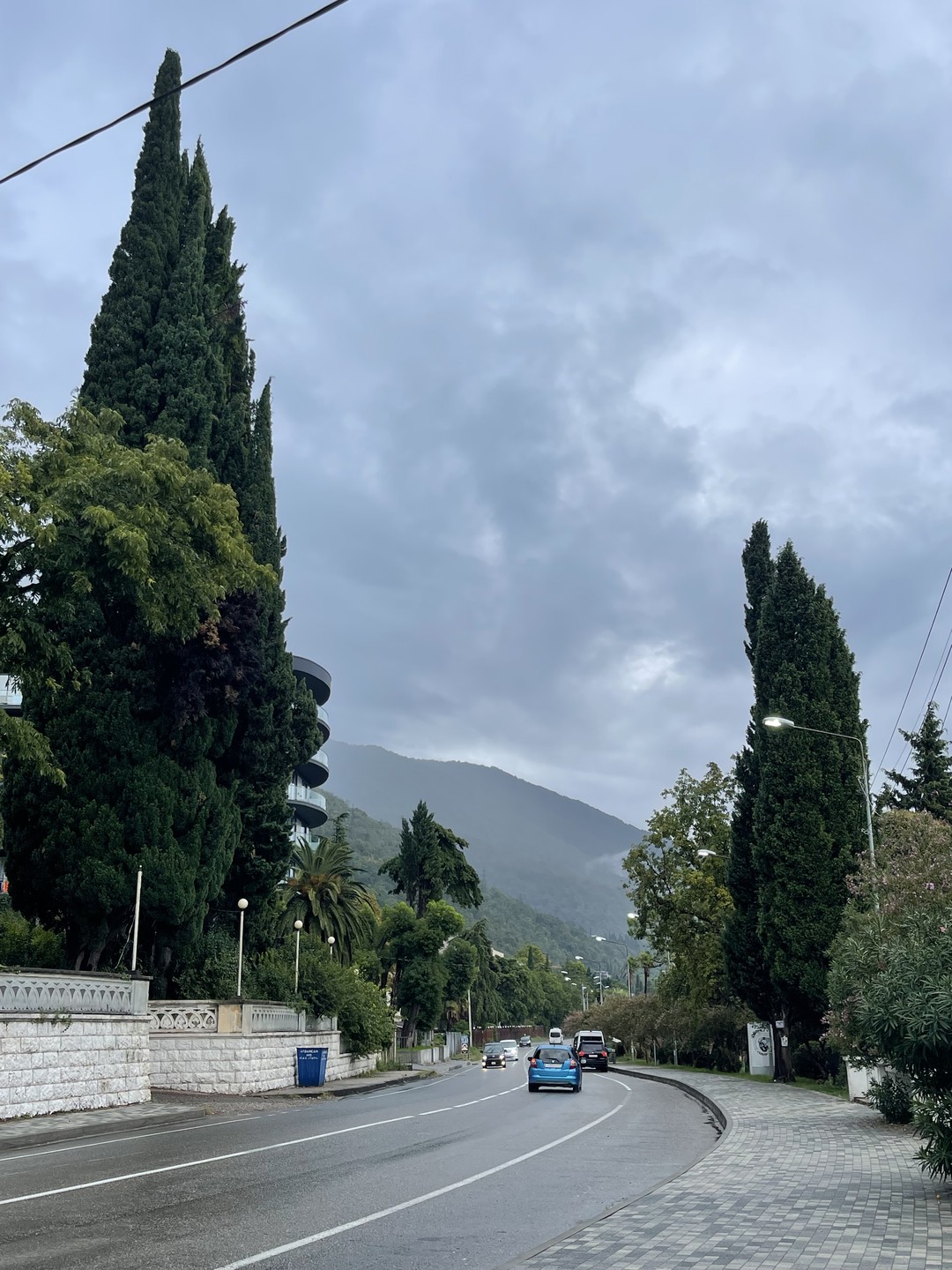 От пальм к заснеженным вершинам: день Абхазии (из Адлера) (Анастасия)