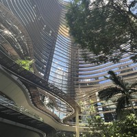 Фото отзыва 3: экскурсия "Сингапурский калейдоскоп"