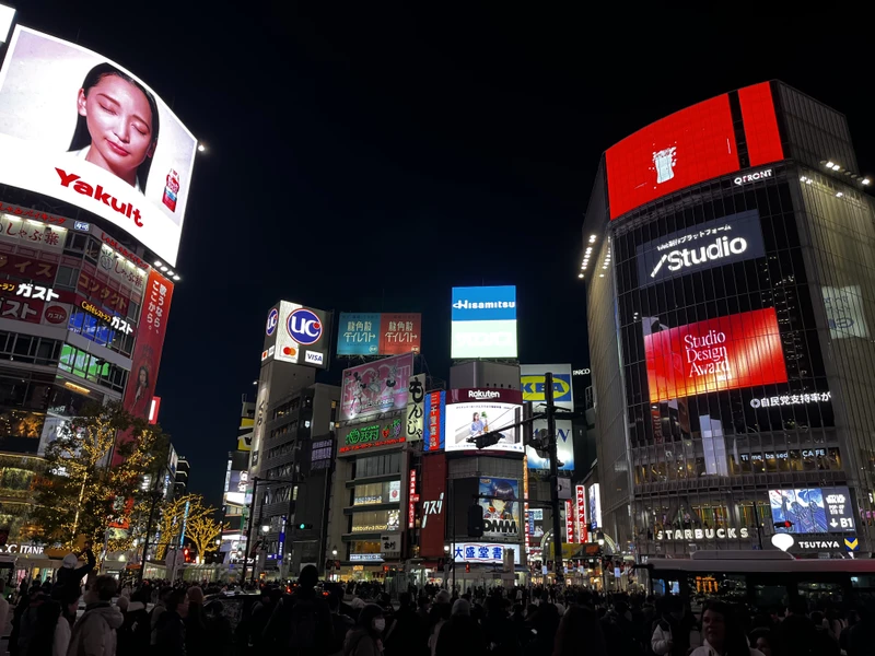 Отличная обзорная спланированная экскурсия под ожидания туриста. Для тех, кто впервые в Токио очень рекомендую, можно