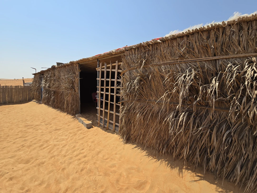 Моя вторая экскурсия от Трипстера за время пребывания в Омане. Порядок действий мне уже понятен -