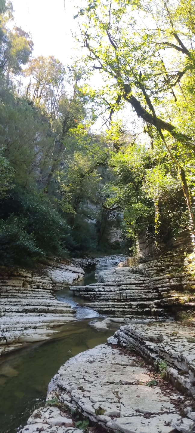 Хочу сказать огромное спасибо Даниилу, отличный парень, коренной сочинец, обожающий природу Сочи, знающий почти всё глубинки