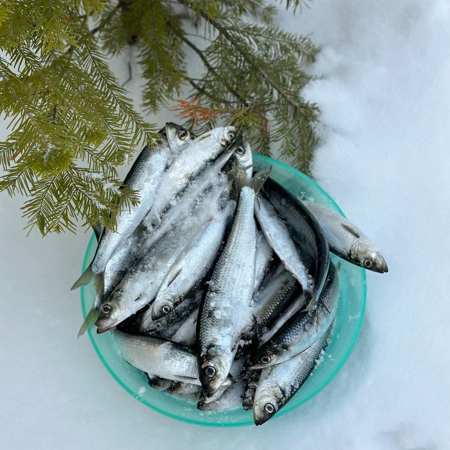 Зимняя рыбалка на Сахалине
