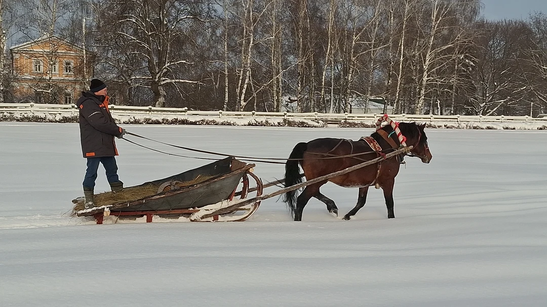 Спасибо Дмитрию за отличную экскурсию! Человек,на самом деле душой вросший в край и Есенина! Стихи,природа и