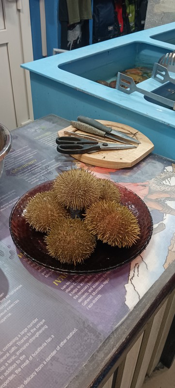 Виды Легенды, герои и подвиги на обзорной прогулке по Мурманску