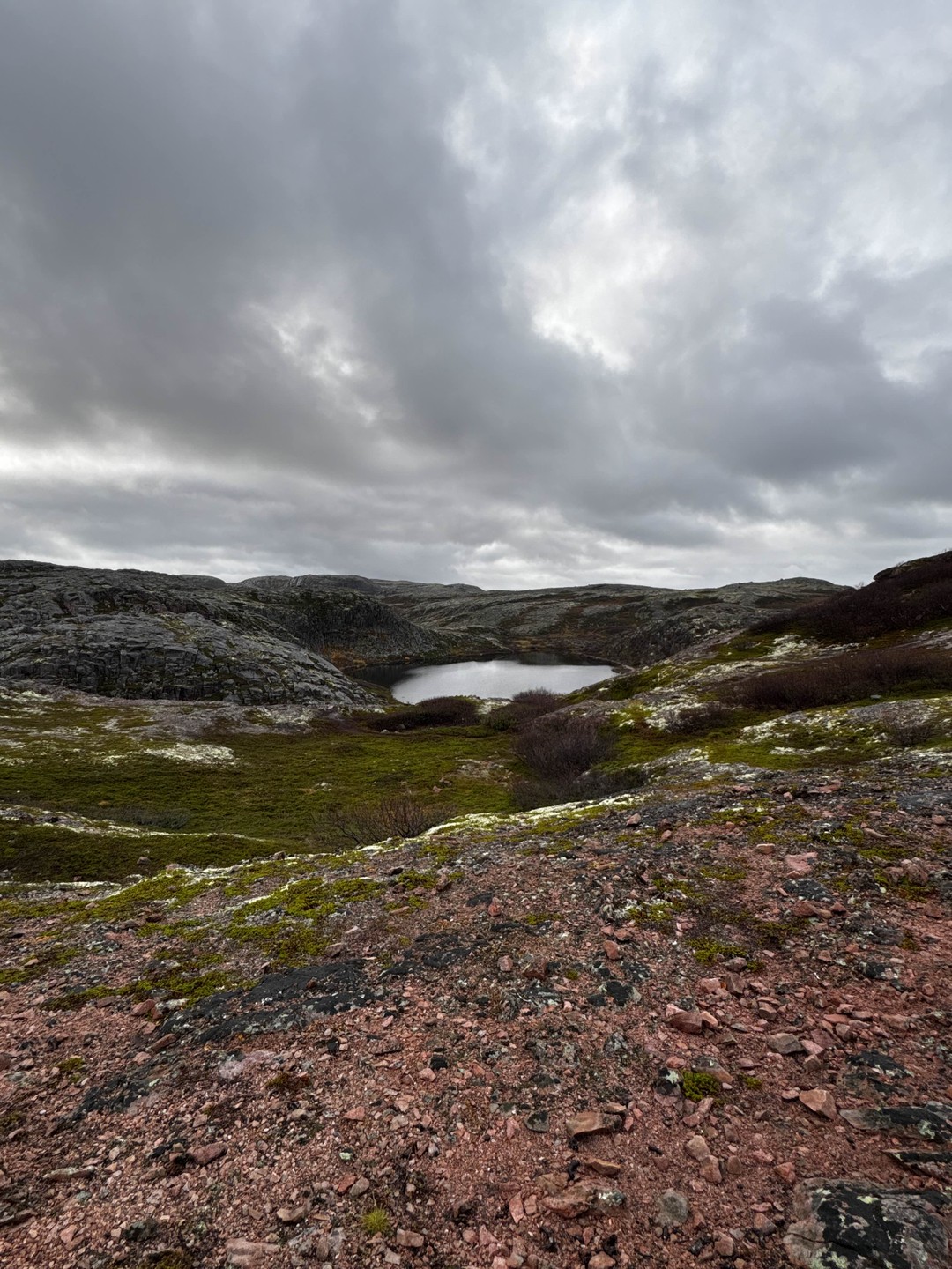 Лучшие моменты наедине: индивидуальная экскурсия в Териберку с комфортом и без спешки (Анна)