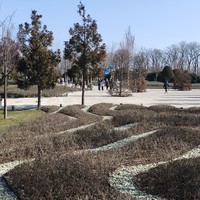 Фото отзыва 2: экскурсия "Парк Галицкого: где ты паришь, даже не взлетая"