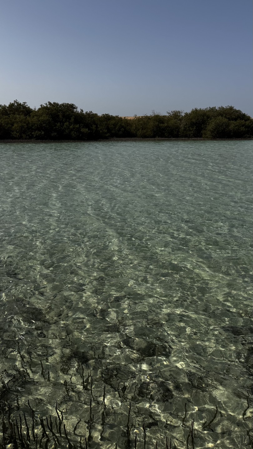 Потрясающая экскурсия. Богдади лучший рассказчик которого я встречала, все интересно и с юмором. Водитель мини-автобуса пунктуален