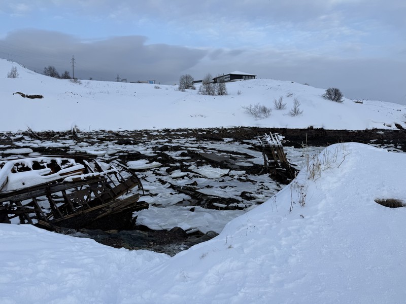 Вся поездка прошла очень гладко и счастливо. Перед поездкой я слышал, что многие люди оказались в