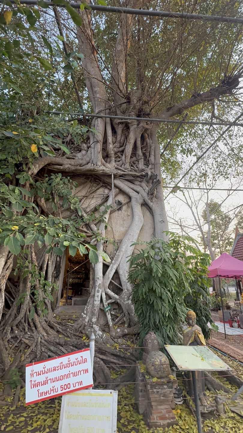 Хочу поделиться впечатлениями от поездки с Александром 15.02.2026